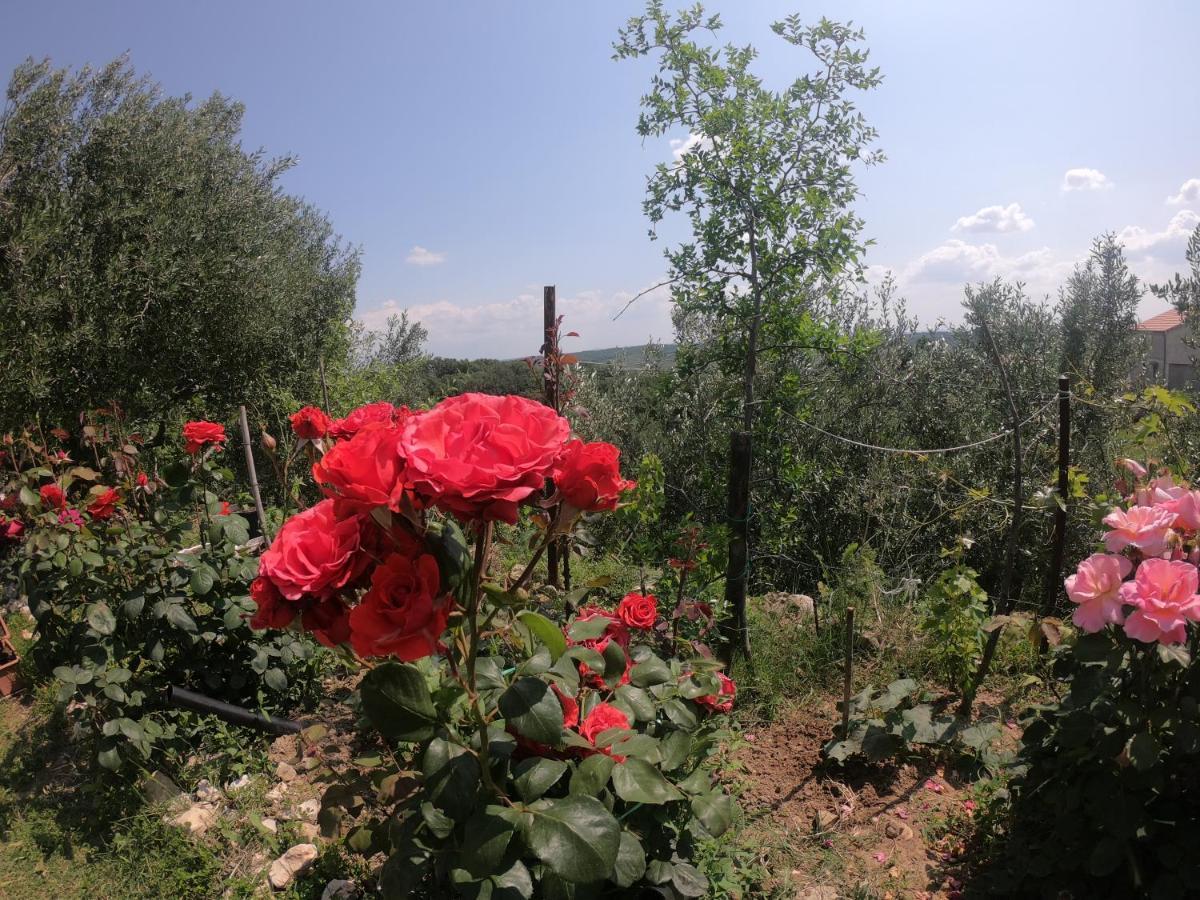 Apartman Tina Ražanac Dış mekan fotoğraf