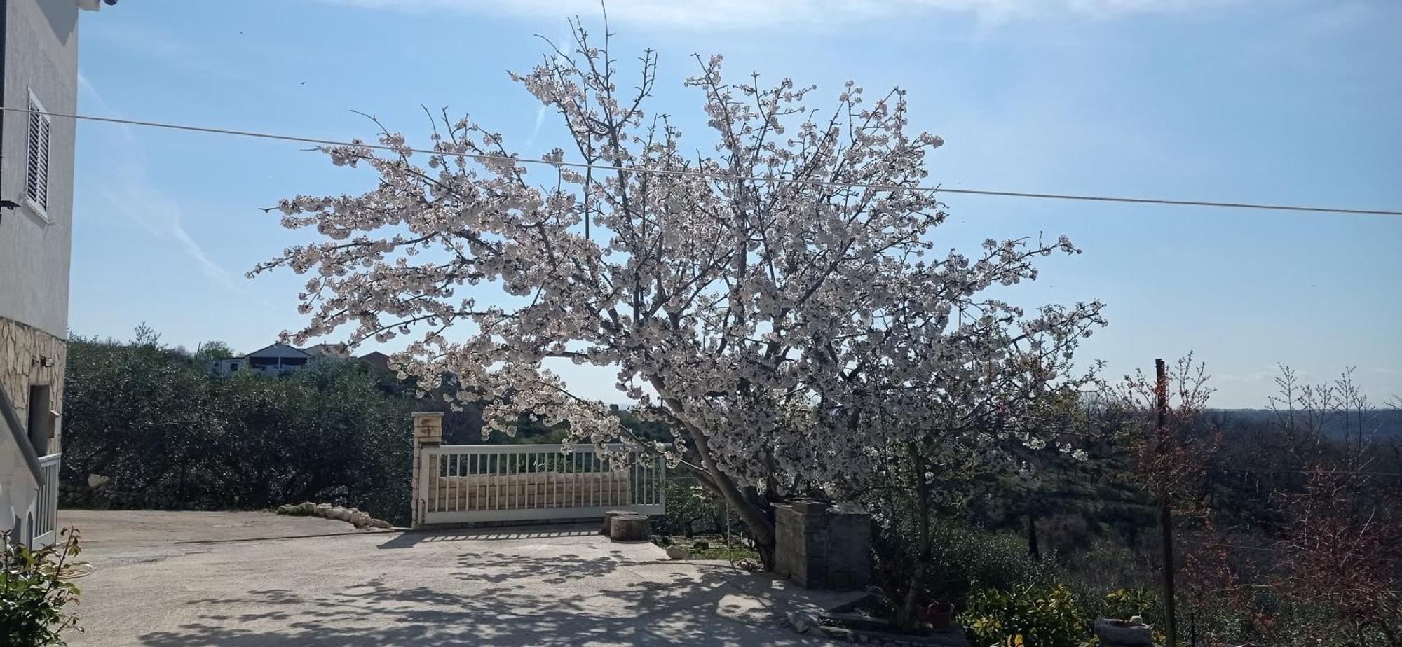 Apartman Tina Ražanac Dış mekan fotoğraf